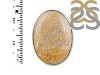 Fossilized Coral Adjustable Ring-ADJ-R FSC-2-56