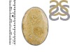 Fossilized Coral Adjustable Ring-ADJ-R FSC-2-59