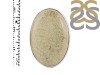 Fossilized Coral Adjustable Ring-ADJ-R FSC-2-62