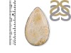 Fossilized Coral Adjustable Ring-ADJ-R FSC-2-67