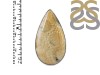 Fossilized Coral Adjustable Ring-ADJ-R FSC-2-69