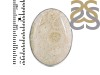 Fossilized Coral Adjustable Ring-ADJ-R FSC-2-76