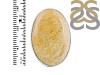 Fossilized Coral Adjustable Ring-ADJ-R FSC-2-77