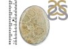 Fossilized Coral Adjustable Ring-ADJ-R FSC-2-79