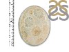 Fossilized Coral Adjustable Ring-ADJ-R FSC-2-90