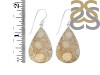 Fossilized Coral Earring-E FSC-3-16