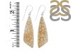Fossilized Coral Earring-E FSC-3-22