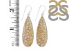 Fossilized Coral Earring-E FSC-3-23