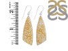 Fossilized Coral Earring-E FSC-3-24