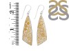 Fossilized Coral Earring-E FSC-3-25