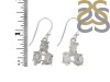 Petroleum Herkimer Diamond Rough Earring-2E HDP-3-12