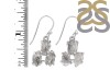 Petroleum Herkimer Diamond Rough Earring-2E HDP-3-16