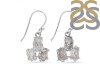 Petroleum Herkimer Diamond Rough Earring-2E HDP-3-18