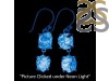 Petroleum Herkimer Diamond Rough Earring-2E HDP-3-354