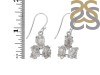 Petroleum Herkimer Diamond Rough Earring-2E HDP-3-5