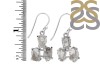Petroleum Herkimer Diamond Rough Earring-2E HDP-3-6