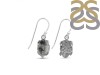 Herkimer Diamond Earring-E HKD-3-399