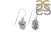 Herkimer Diamond Earring-E HKD-3-402