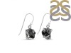 Herkimer Diamond Earring-E HKD-3-403