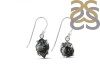 Herkimer Diamond Earring-E HKD-3-406