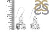 Herkimer Diamond Rough Earring-2E HKD-3-41