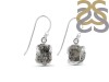 Herkimer Diamond Earring-E HKD-3-421