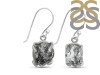 Herkimer Diamond Earring-E HKD-3-430