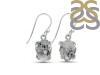Herkimer Diamond Earring-E HKD-3-442