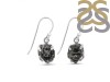Herkimer Diamond Earring-E HKD-3-444
