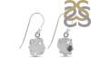 Herkimer Diamond Earring-E HKD-3-450