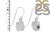 Herkimer Diamond Earring-E HKD-3-450
