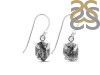 Herkimer Diamond Earring-E HKD-3-453