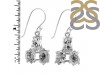 Herkimer Diamond Earring-2E HKD-3-483