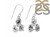 Herkimer Diamond Earring-2E HKD-3-488