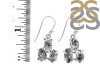 Herkimer Diamond Rough Earring-2E HKD-3-69
