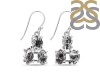 Herkimer Diamond Rough Earring-2E HKD-3-86