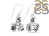 Herkimer Diamond Rough Earring-2E HKD-3-99
