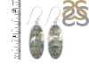 Moss Agate Earring-E MOA-3-77