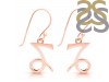 Capricorn Zodiac Earring PS-RDE-1494.