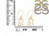 Leo Zodiac Earring PS-RDE-1501.