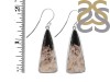 Petrified Wood Earring-E PTF-3-1