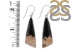 Petrified Wood Earring-E PTF-3-10