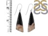 Petrified Wood Earring-E PTF-3-14