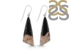 Petrified Wood Earring-E PTF-3-14