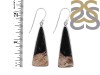 Petrified Wood Earring-E PTF-3-15