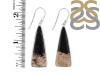 Petrified Wood Earring-E PTF-3-16