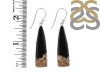 Petrified Wood Earring-E PTF-3-18