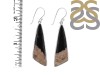 Petrified Wood Earring-E PTF-3-19