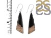 Petrified Wood Earring-E PTF-3-21
