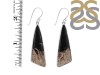 Petrified Wood Earring-E PTF-3-22